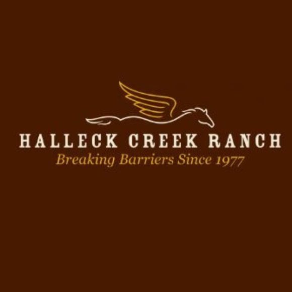 Ralph Lauren Vintage Deep Sky Blue Duchess Silk Satin Gown with Train - Picture 15 of 17